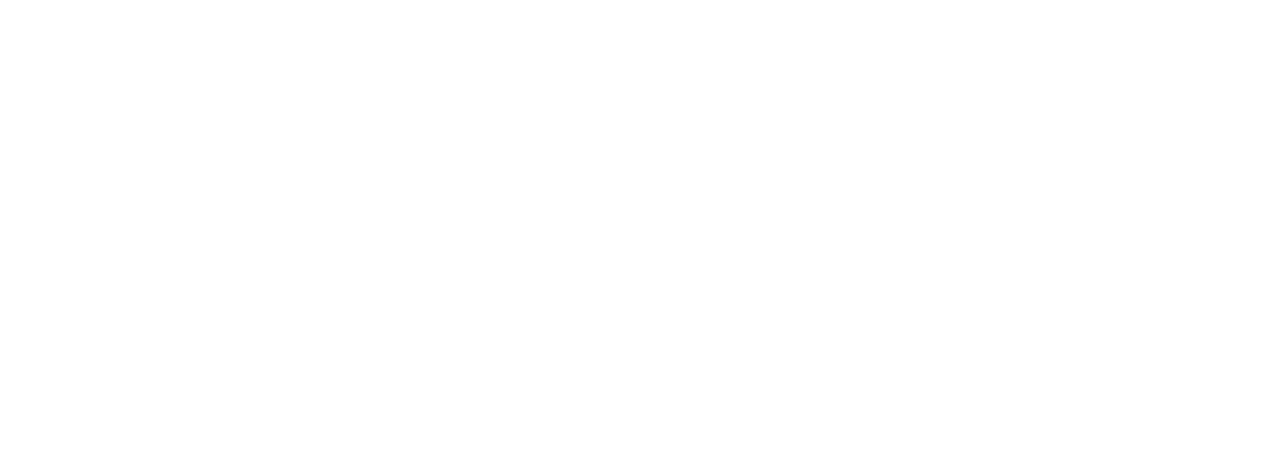 Pegazzo Telcom